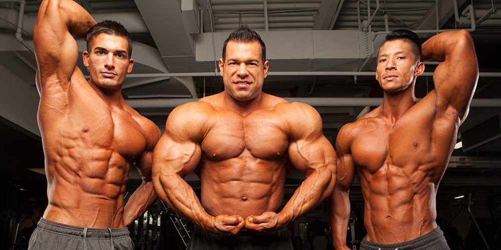 You’re Never too Busy to Bulk - Allmax Nutrition