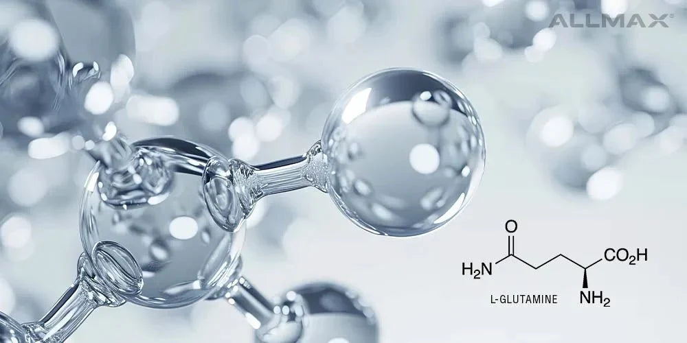 L-Glutamine: Health Benefits, Side Effects and More - Allmax Nutrition