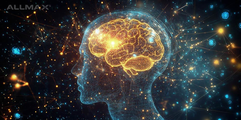 L-Tyrosine: Health Benefits, Side Effects, and More - Allmax Nutrition