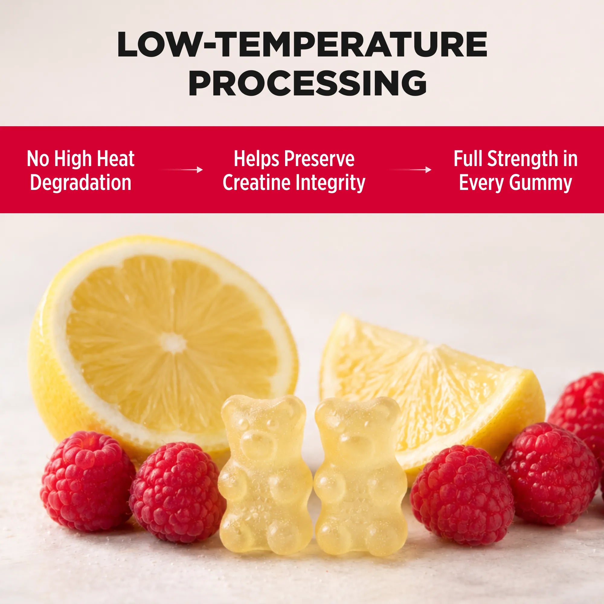 Promotional graphic for lemon gummy bears with two translucent yellow gummy bears in front of a lemon half and slices, surrounded by fresh raspberries. A red banner at the top reads 'LOW-TEMPERATE PROCESSING' with three benefit statements about preserving creatine integrity and full strength in every gummy.