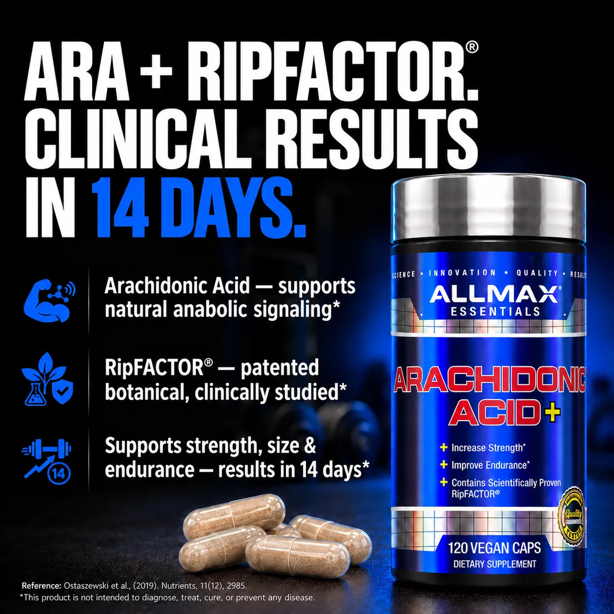 Allmax Arachidonic Acid+