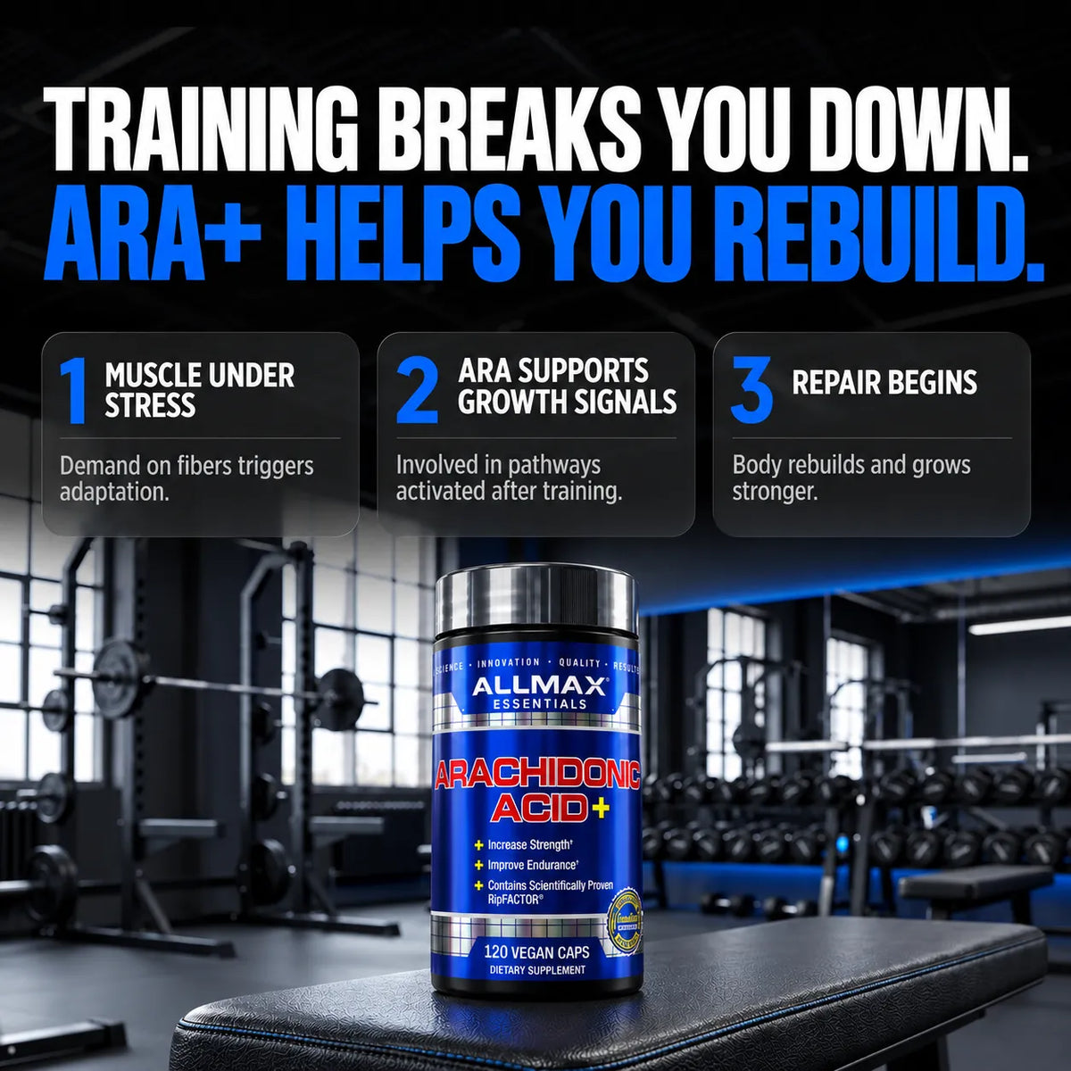 Allmax Arachidonic Acid+