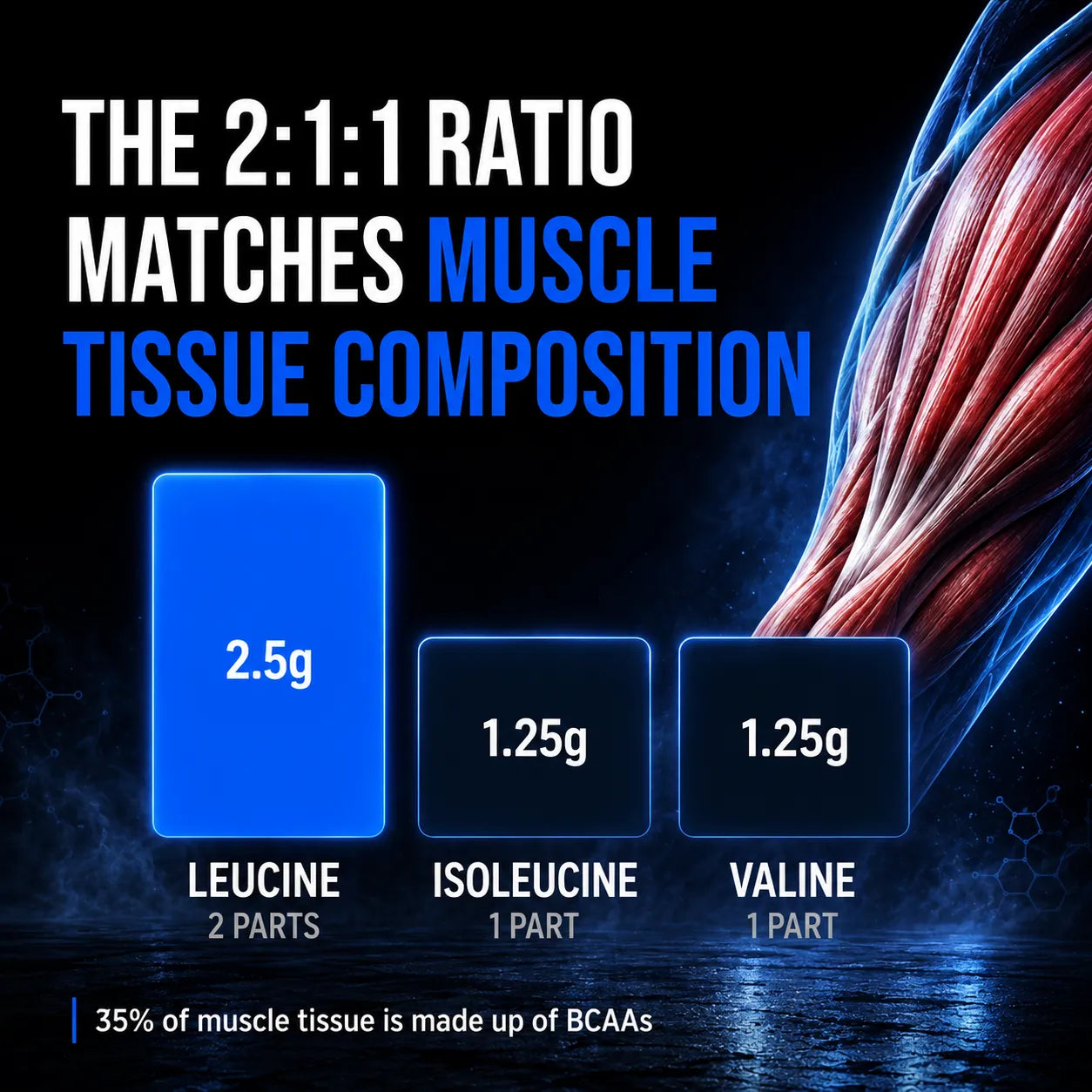 An infographic explaining a 2:1:1 BCAA ratio, showing 2.5g of leucine, 1.