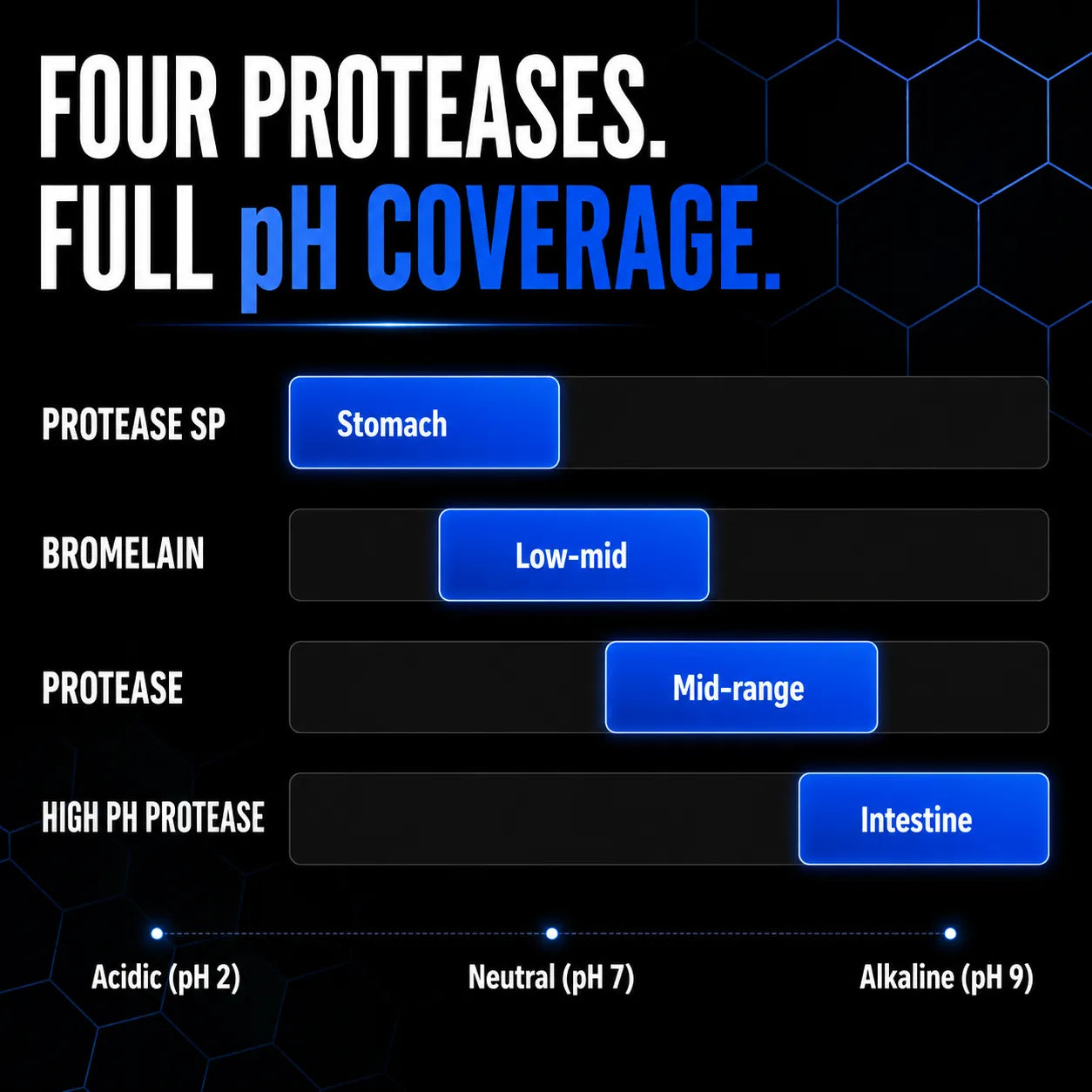 An informational graphic with the headline 'FOUR PROTEASES. FULL pH COVERAGE.