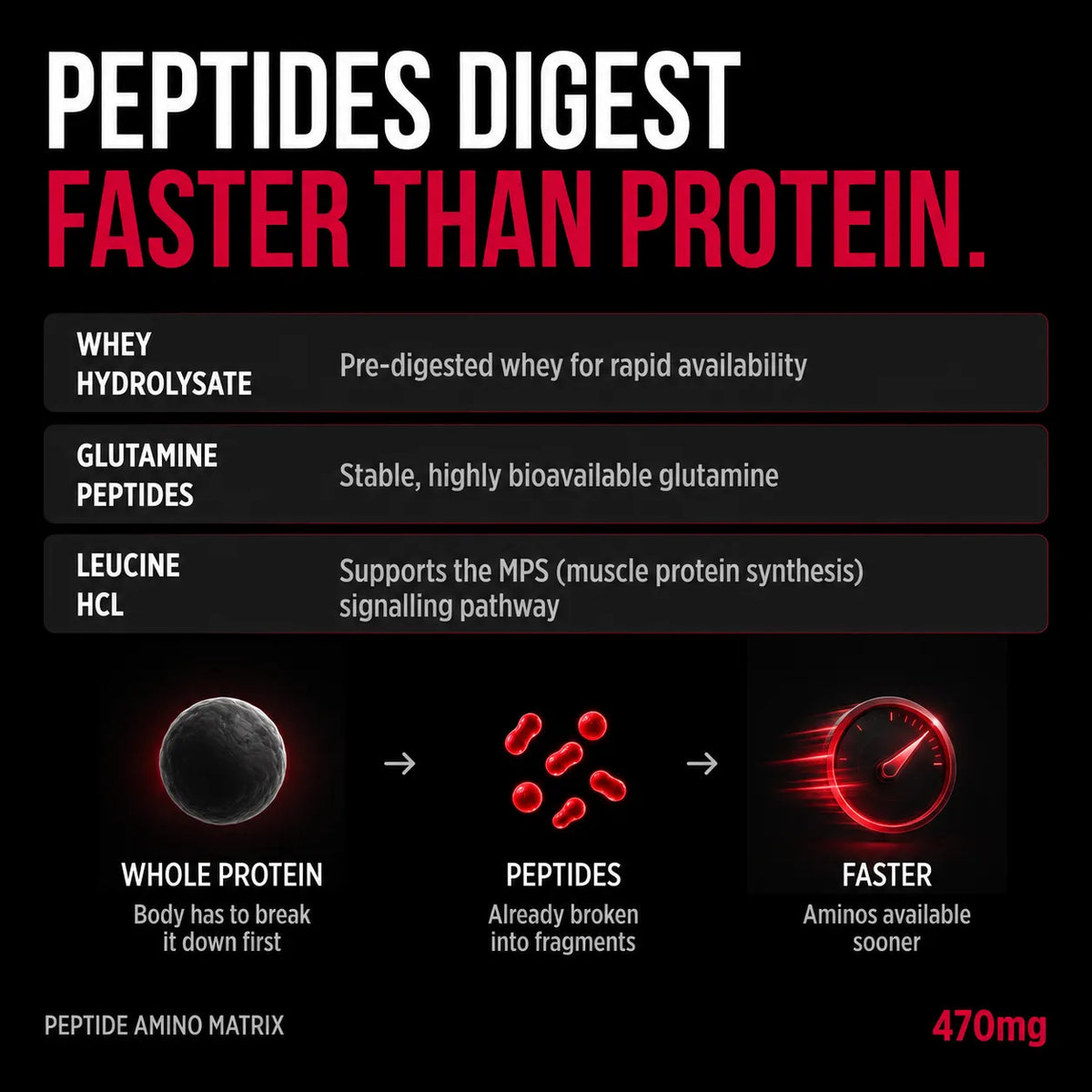 An infographic on a black background comparing whole protein digestion with peptides. Large white and red text reads 'PEPTIDES DIGEST FASTER THAN PROTEIN.