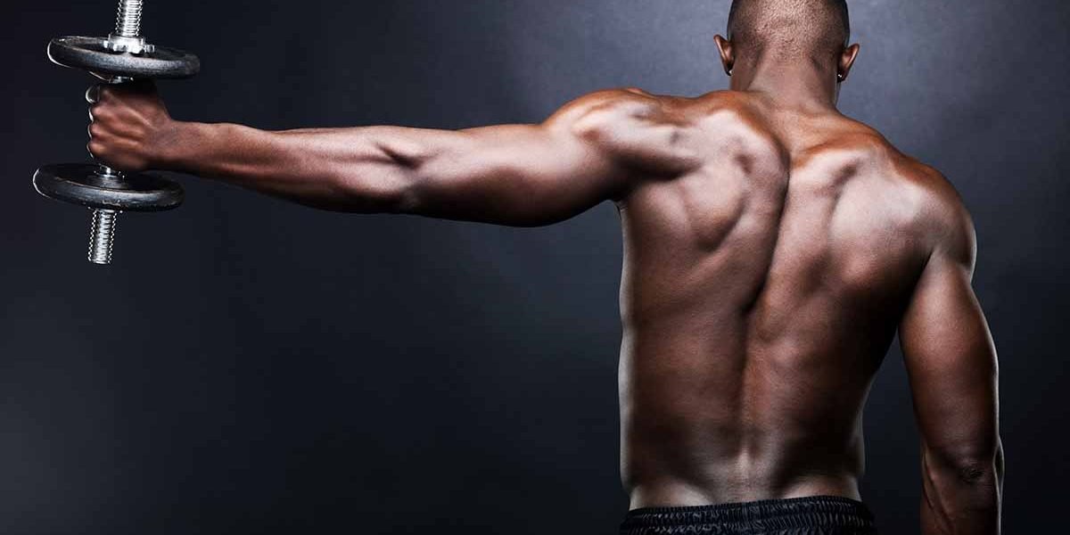 Bulking the Right Way: Part 2 – Bulking for the Hard Gainer - Allmax Nutrition