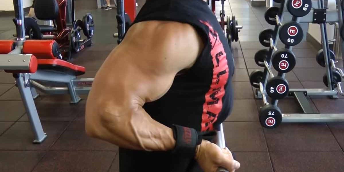 Six Forgotten Arm Building Exercises - Allmax Nutrition