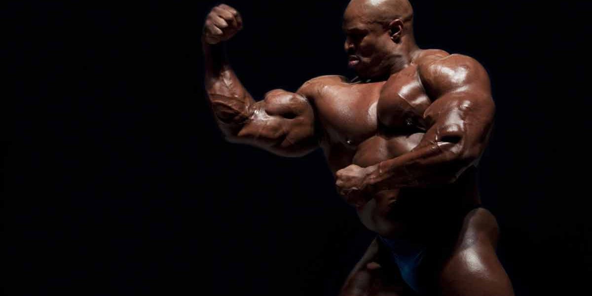 Ranking the Olympians: The Big 13 Assessed - Allmax Nutrition