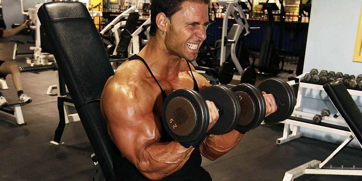 Harnessing the Power of Protein plus BCAA - Allmax Nutrition