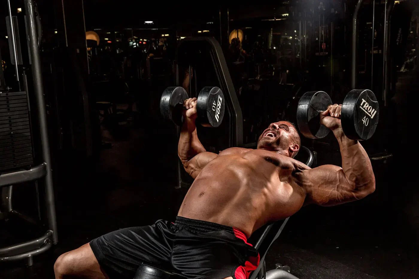 Full-body Dumbbell Workouts: Is it Possible? You’ve Got Questions. We’ve Got Answers (and Workouts)! - Allmax Nutrition