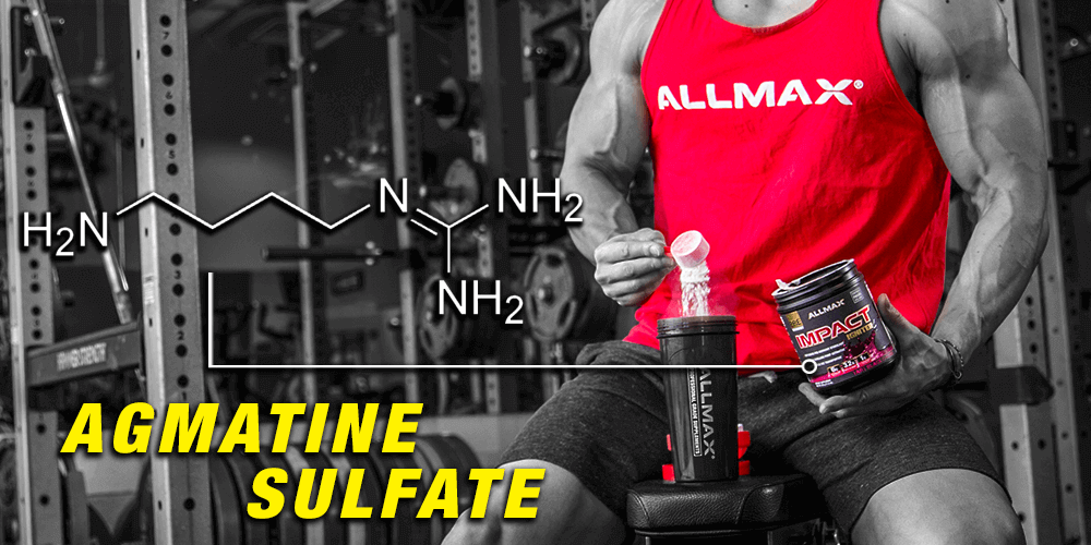 Is Agmatine Sulfate the Best Pre-workout Ingredient for an Insane Pump? - Allmax Nutrition