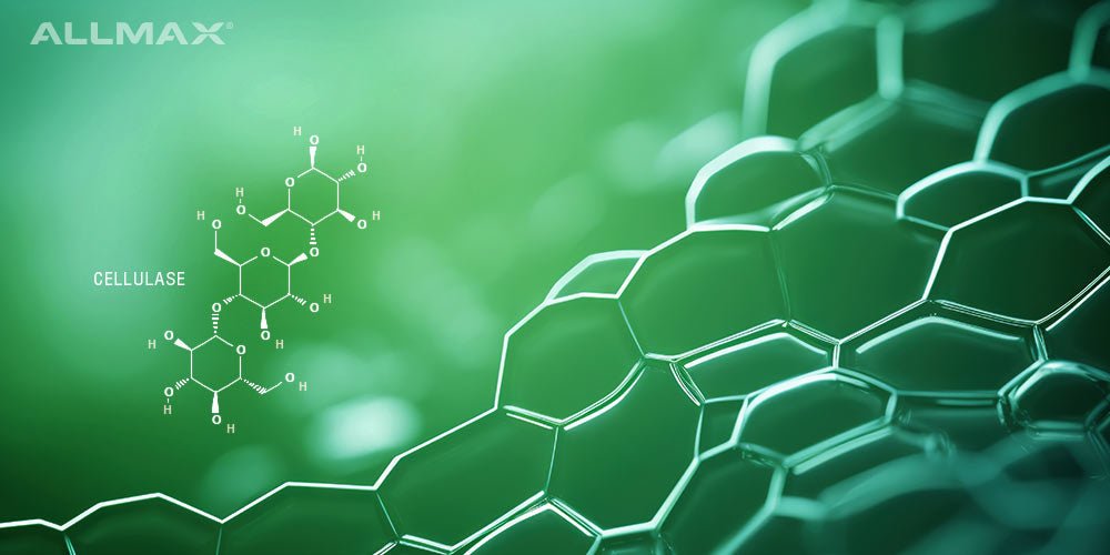 Cellulase Enzyme: Health Benefits, Side Effects and More - Allmax Nutrition