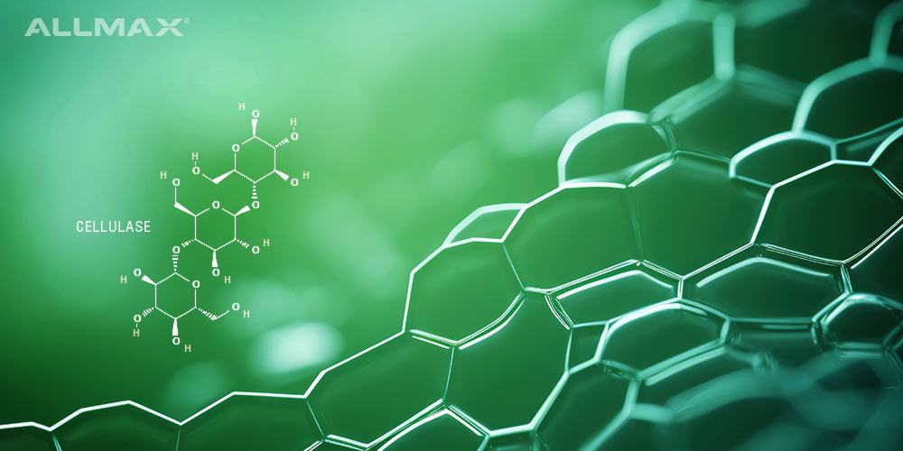 Cellulase Enzyme
