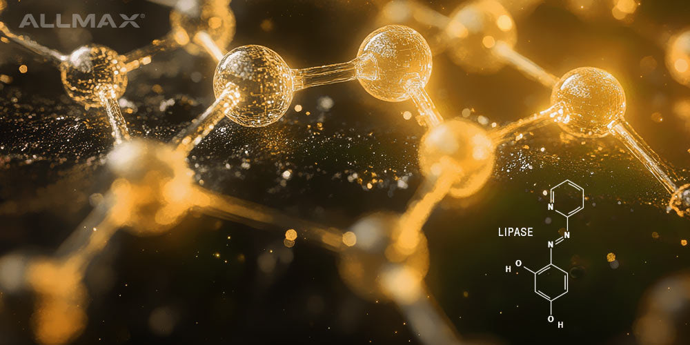 Lipase Enzyme