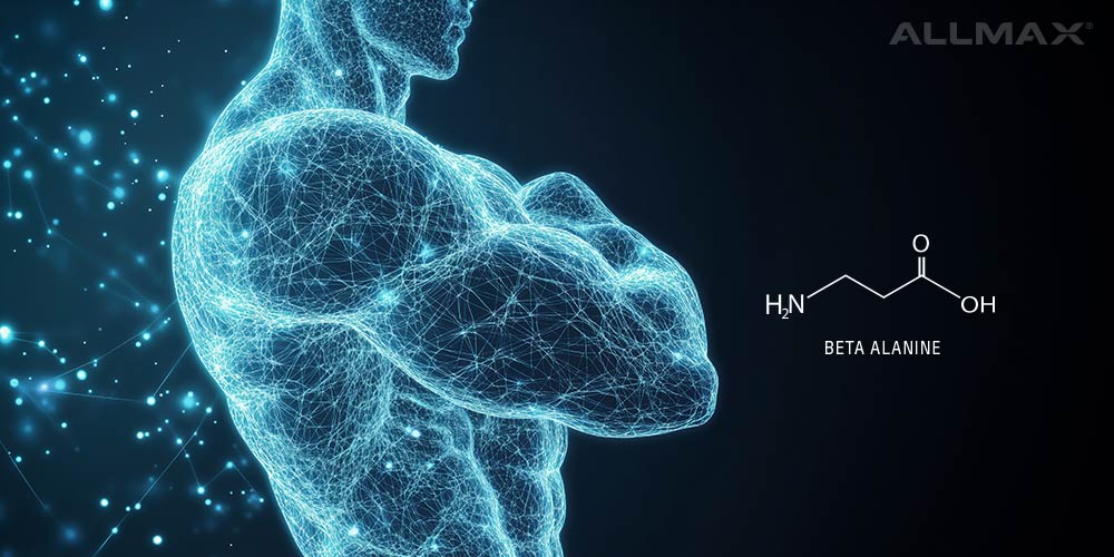 Beta Alanine