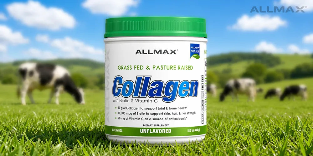 ALLMAX bovine collagen