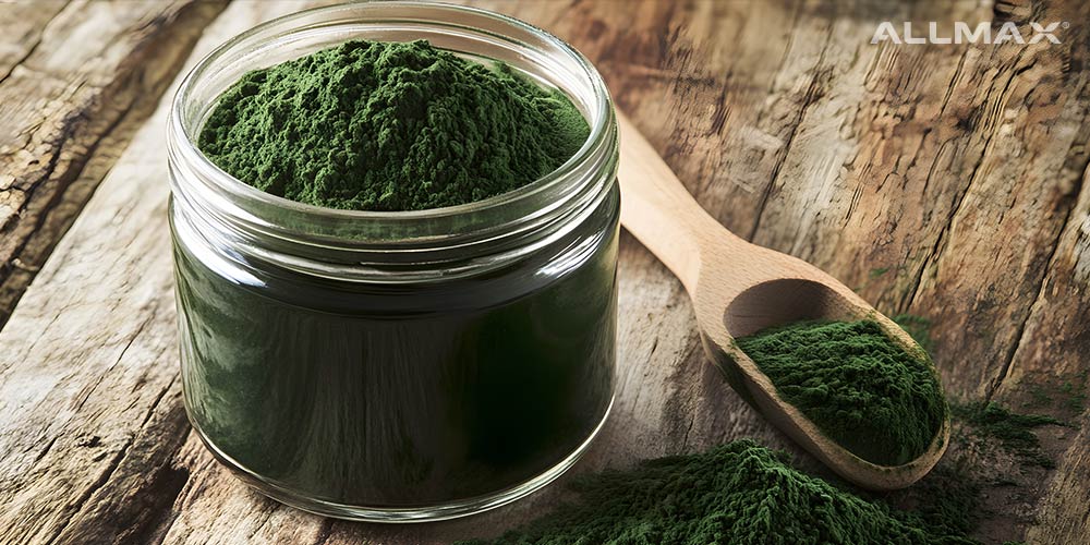 Chlorella Vulgaris