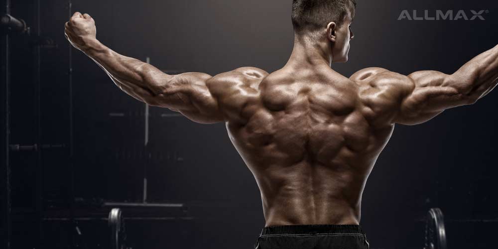 How to Build a Big Thick Back - Allmax Nutrition
