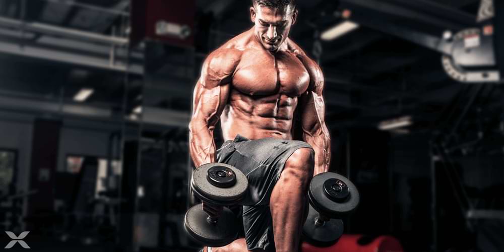 Training Techniques To Shock Muscles Effectively