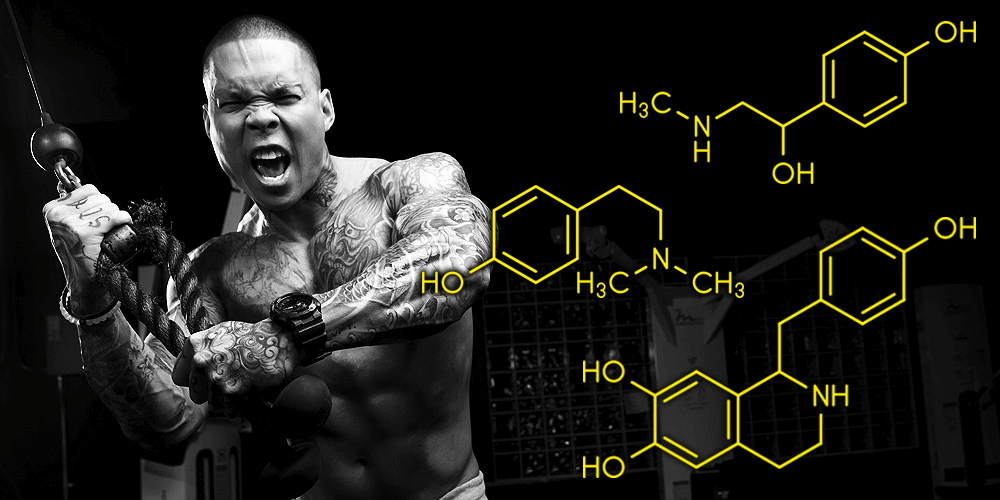 Are Synephrine, Higenamine and Hordenine the Best Pre-workout Stims? - Allmax Nutrition