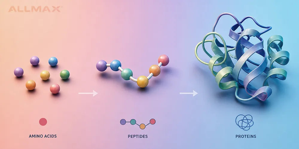 peptides-allmax-isolyft