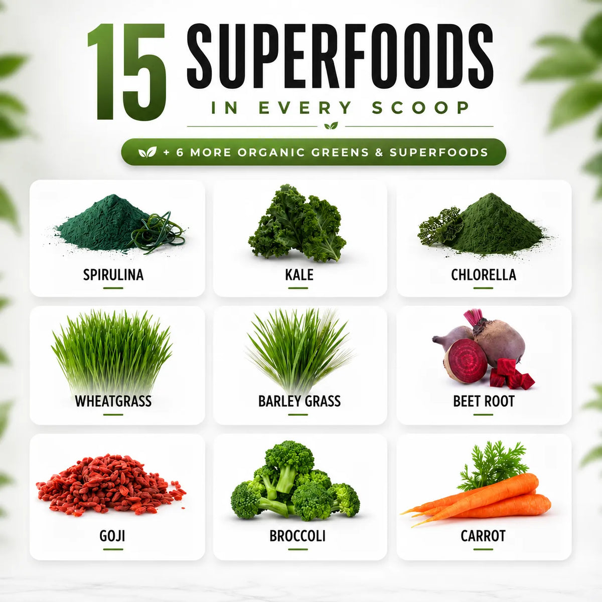 An infographic titled '15 Superfoods in Every Scoop' showing nine labeled food piles: spirulina, kale, chlorella, wheatgrass, barley grass, beet root, goji, broccoli, and carrot, on a white background with green leaf accents.