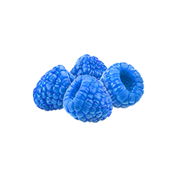 allmax-aminocore-flavor-bluerasp
