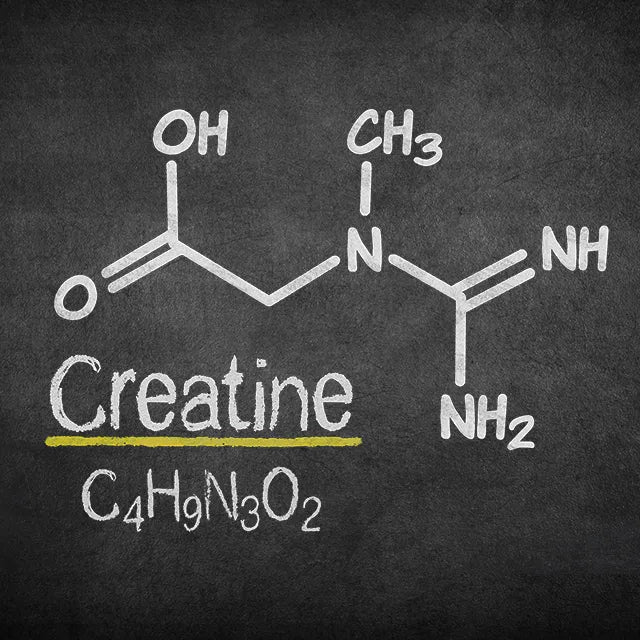 allmax-creatine