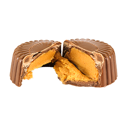 allmax-gold-allwhey-flavor-chocpb
