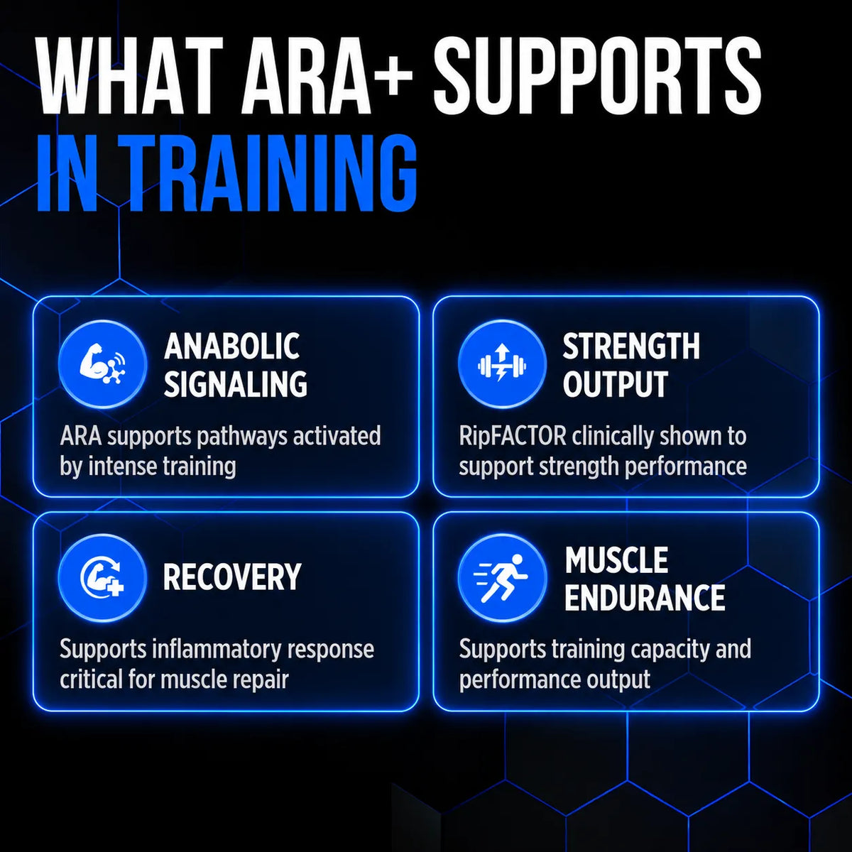 Allmax Arachidonic Acid+
