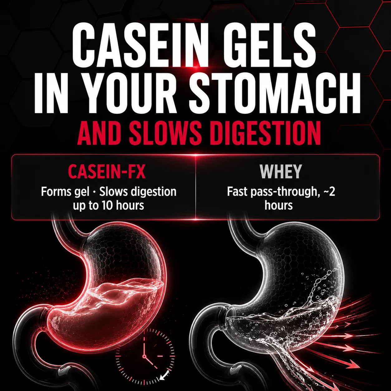 Promotional graphic for protein powder ingredients, comparing Casein-FX and Whey. The top text reads 'CASEIN GELS IN YOUR STOMACH AND SLOWS DIGESTION' on a black background with red and white lettering.