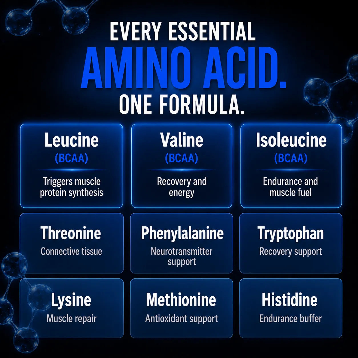 An informational graphic with the headline 'EVERY ESSENTIAL AMINO ACID. ONE FORMULA.
