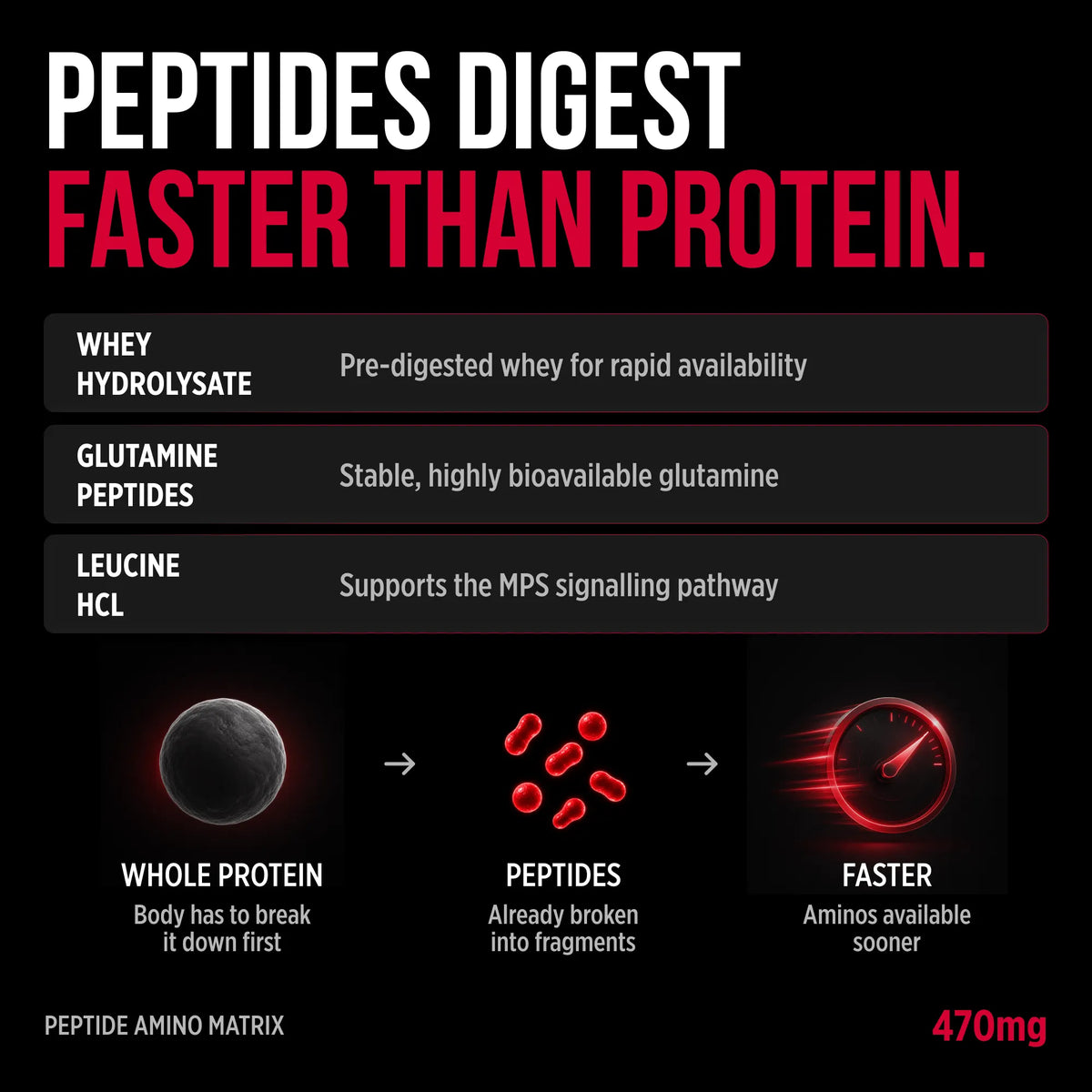An infographic on a black background comparing whole protein digestion with peptides. Large white and red text at the top reads 'PEPTIDES DIGEST FASTER THAN PROTEIN.