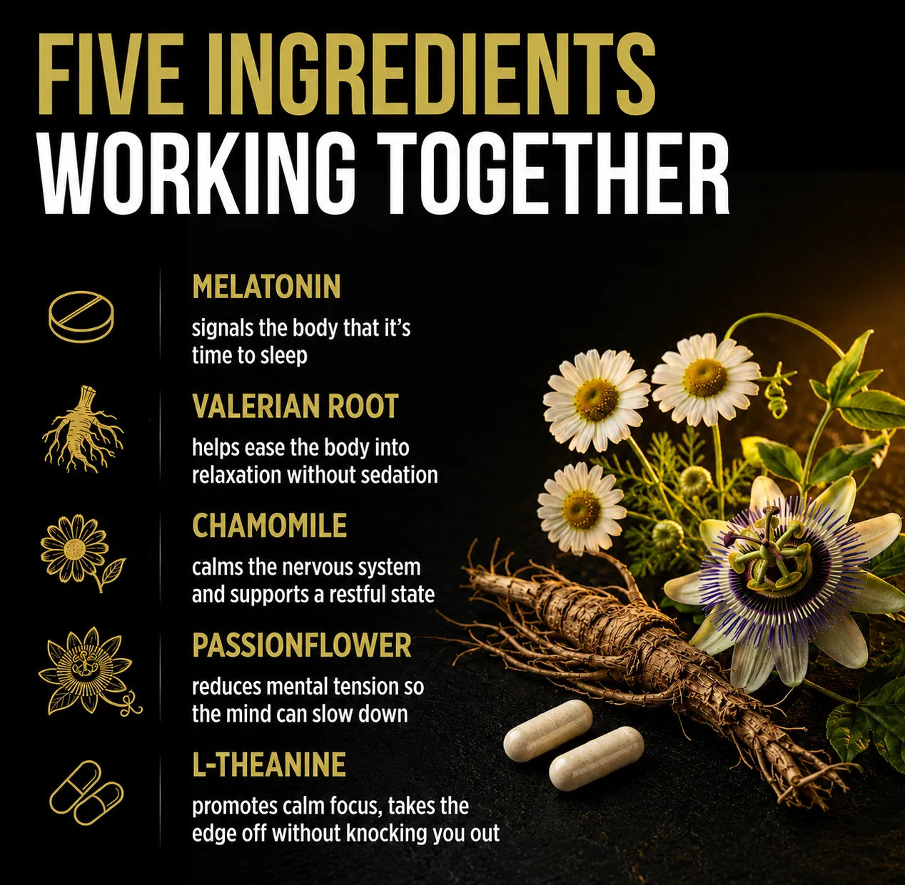 lights_out_allmax benefits
