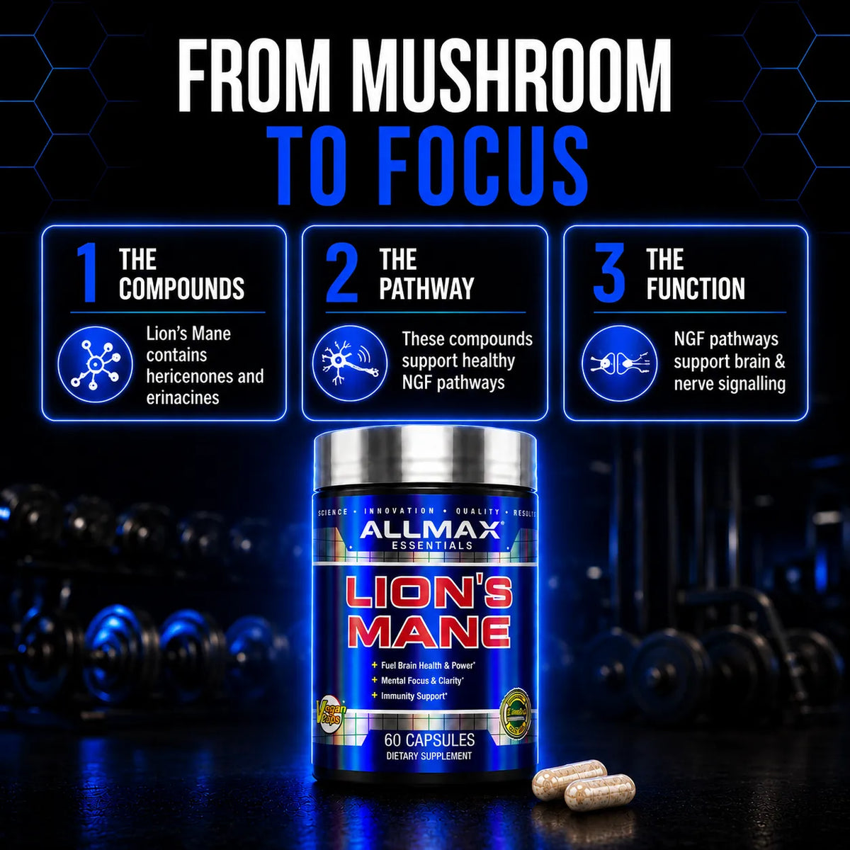 A bottle of Allmax Nutrition Lion's Mane dietary supplement is shown on a dark, moody background with gym equipment. The image includes three informational callouts at the top explaining the compounds, pathways, and functions of Lion's Mane.
