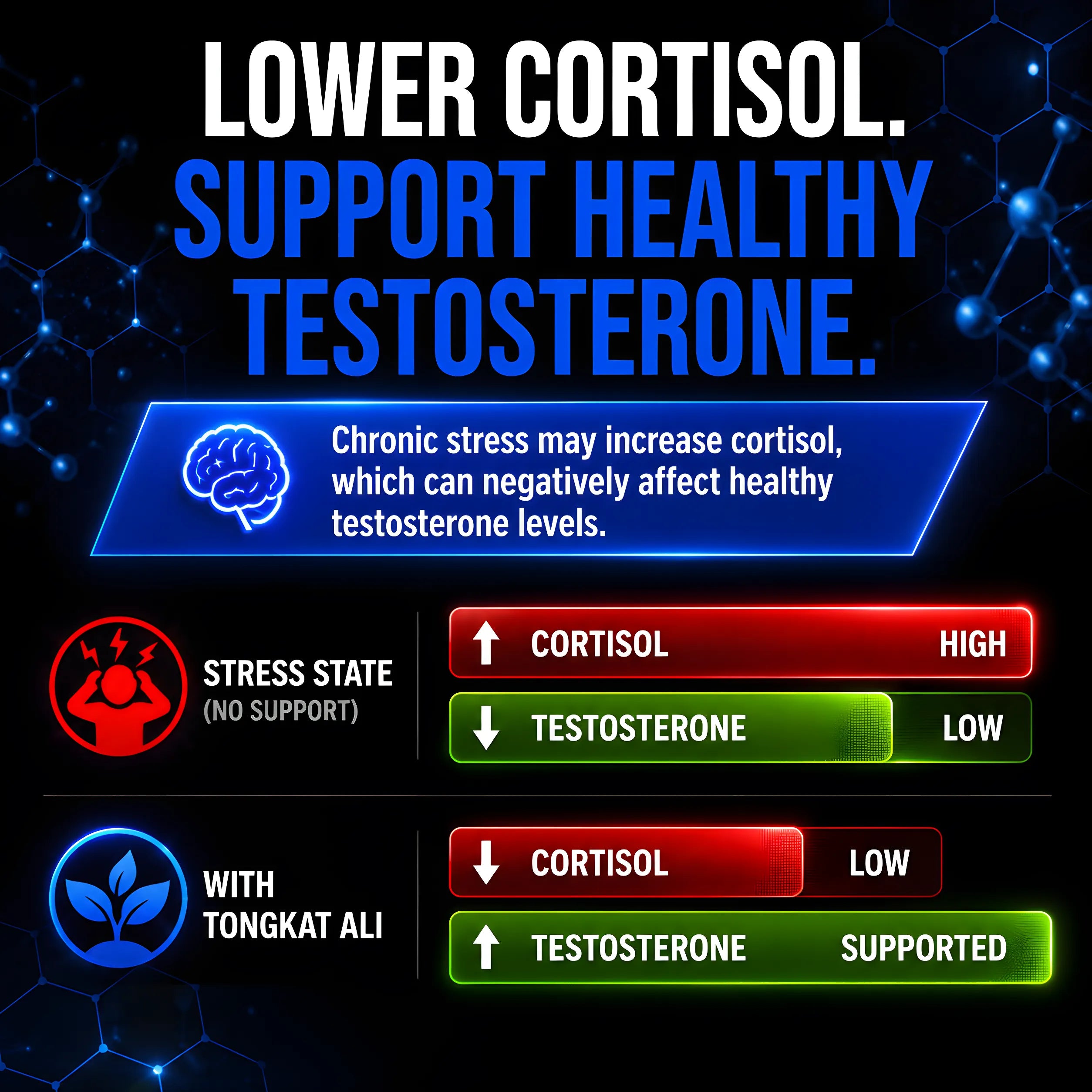 An infographic graphic promoting 'Lower Cortisol. Support Healthy Testosterone.
