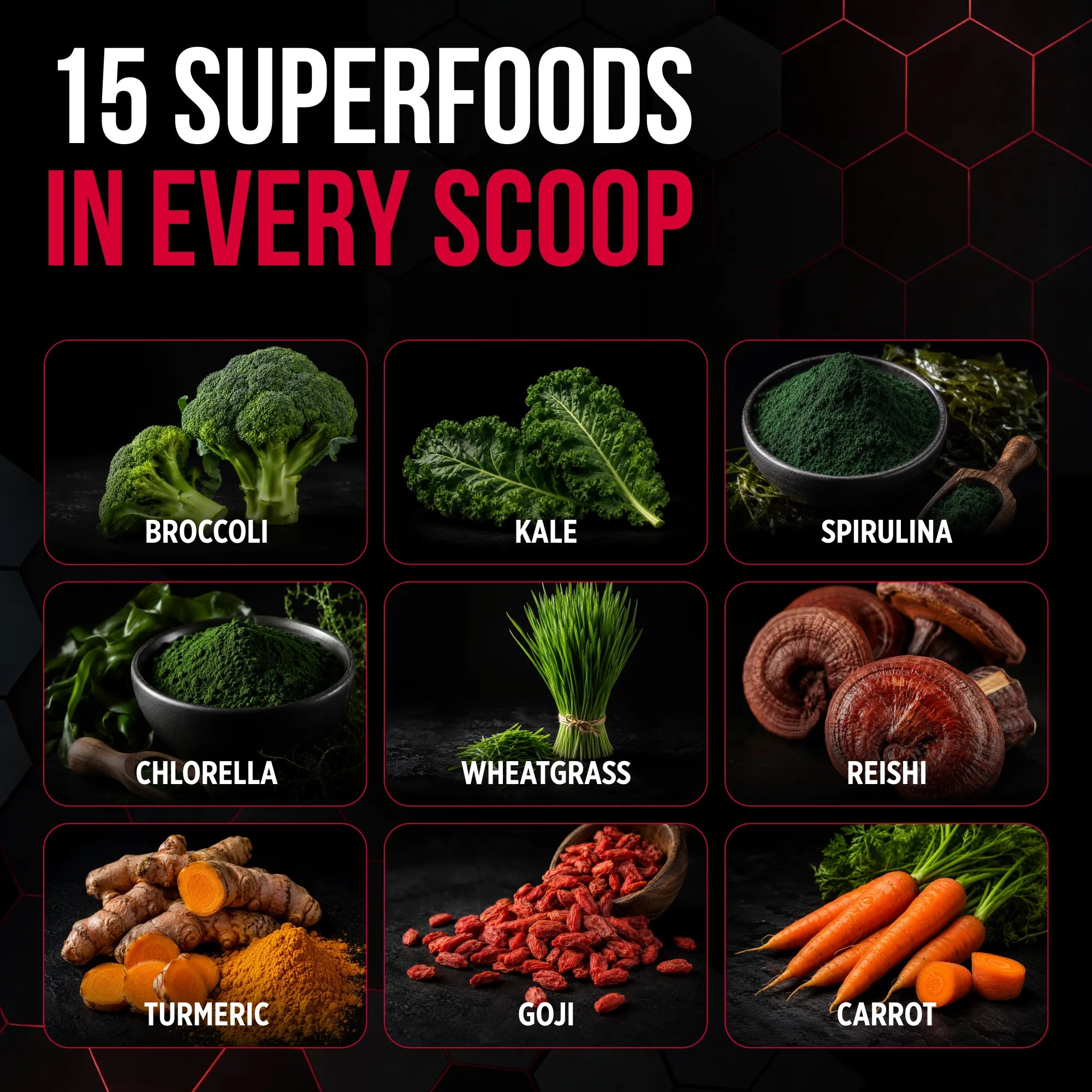 Allmax MealPrep Lite
